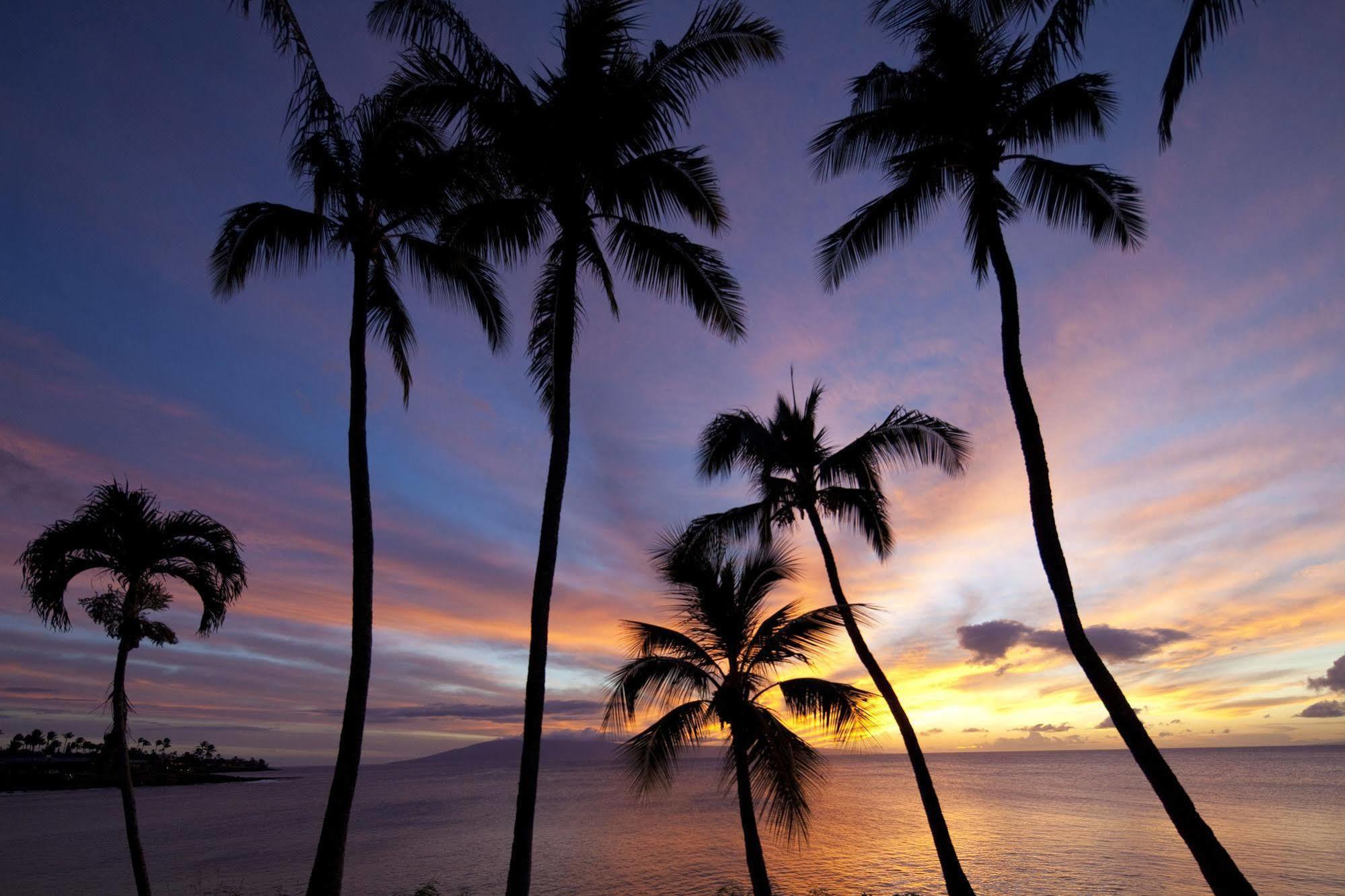 Napili Kai Beach Resort Kapalua Esterno foto